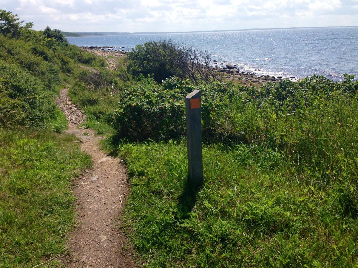 Vejbystrands Vandrarhem Bagian luar foto