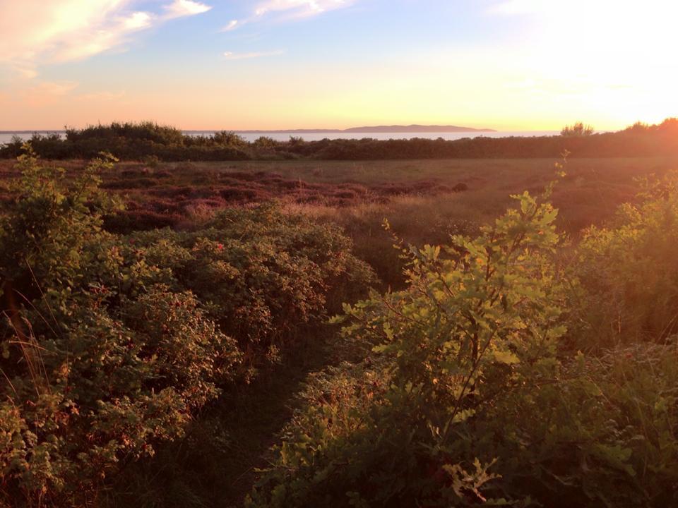 Vejbystrands Vandrarhem Bagian luar foto